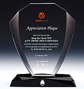 크리스탈 상패  [JW008-01]