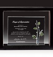 크리스탈 상패  [JW229-06]