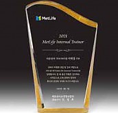 펄 크리스탈 상패  [JW065-06]