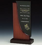 크리스탈 상패  [JW167-06]