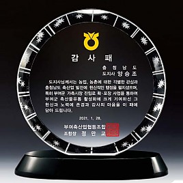 WHITE 크리스탈 상패  [JW139-09]