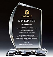 WHITE 크리스탈 상패  [JW141-09]