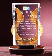 우드 크리스탈 상패  [JW167-08]