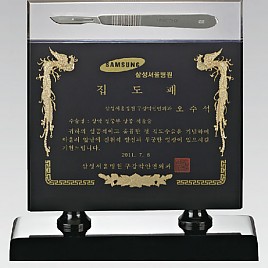 나무 수지 상패  [JW227-06]