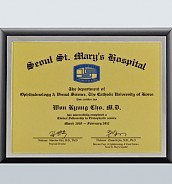 펄 나무상패  [JW218-04]