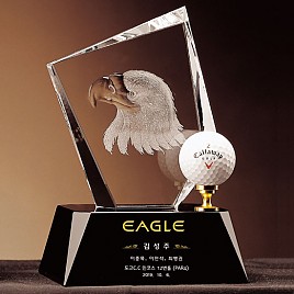 크리스탈 트로피  [JW353-09]