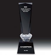 크리스탈 트로피  [JW346-05]