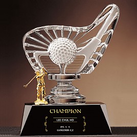 크리스탈 트로피  [JW351-17]