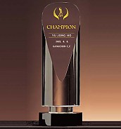 크리스탈 트로피  [JW353-10]