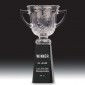 크리스탈 트로피  [JW349-04]