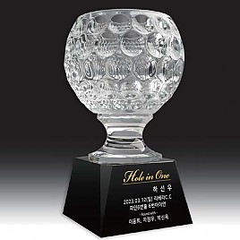 크리스탈 트로피  [JW350-04]