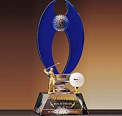 크리스탈 트로피  [JW351-08]