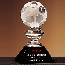 크리스탈 트로피  [JW353-12]