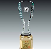 크리스탈 금속 트로피  [JW366-04]