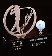 크리스탈 금속 트로피  [JW429-03]