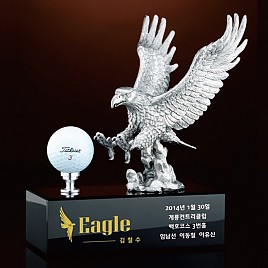 크리스탈 주석 트로피  [JW430-01]