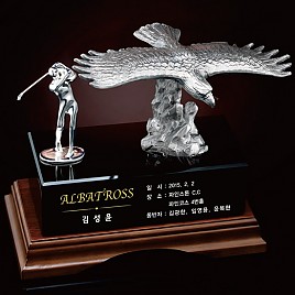 크리스탈 주석 트로피  [JW430-02]