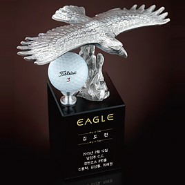 크리스탈 주석 트로피  [JW430-04]