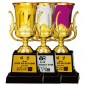 SC505 컵 트로피  [JW453-04]