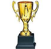 KT202 컵 트로피  [JW451-09]