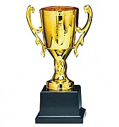 KT202 컵 트로피  [JW451-09]