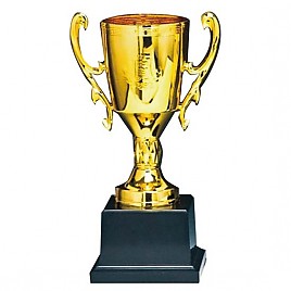 KT202 컵 트로피  [JW451-09]