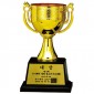 AC704 컵 트로피  [JW452-05]