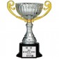 BA707 컵 트로피  [JW453-01]