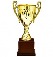 2015컵 우승컵  [JW447-03]