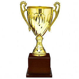 2015컵 우승컵  [JW447-03]