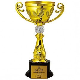 BA903W 우승컵  [JW448-09]