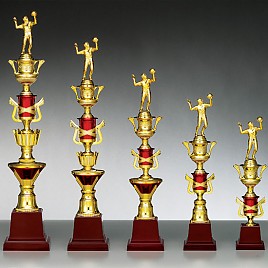 AT107 트로피(케이스 별도)  [JW455-06]