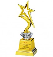 PT201 트로피(케이스 별도)  [JW457-07]