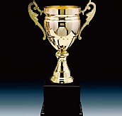 3021컵 우승컵  [JW446-05]