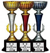 BA708 컵 트로피  [JW452-03]