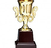 KT204 컵 트로피  [JW452-09]