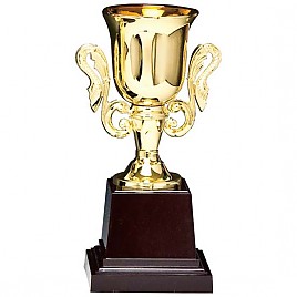 KT204 컵 트로피  [JW452-09]