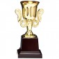 KT204 컵 트로피  [JW452-09]