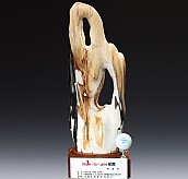 나무화석 골드 트로피  [JW395-03]