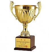 디아나 우승컵(마크, 케이스 별도)  [JW445-05]