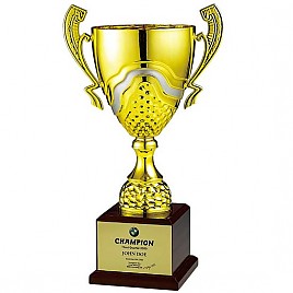 세고비아 우승컵  [JW445-02]