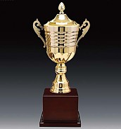 2206컵 우승컵  [JW446-01]