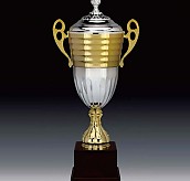 806컵 우승컵  [JW446-03]