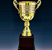 2206컵 우승컵  [JW446-04]