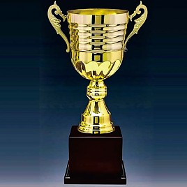 2206컵 우승컵  [JW446-04]