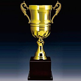 803컵 우승컵  [JW446-06]