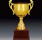 807컵 우승컵  [JW446-07]