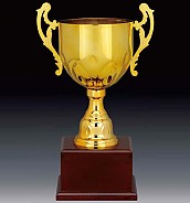 807컵 우승컵  [JW446-07]