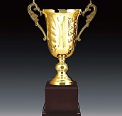 703컵 우승컵  [JW446-08]