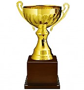 963컵 우승컵  [JW447-01]